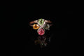 Tourmaline S925 silver